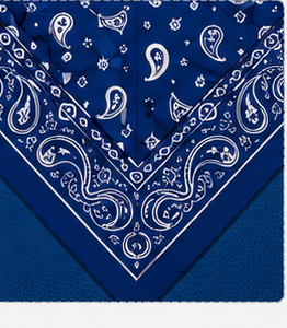 Paisley bandana detail